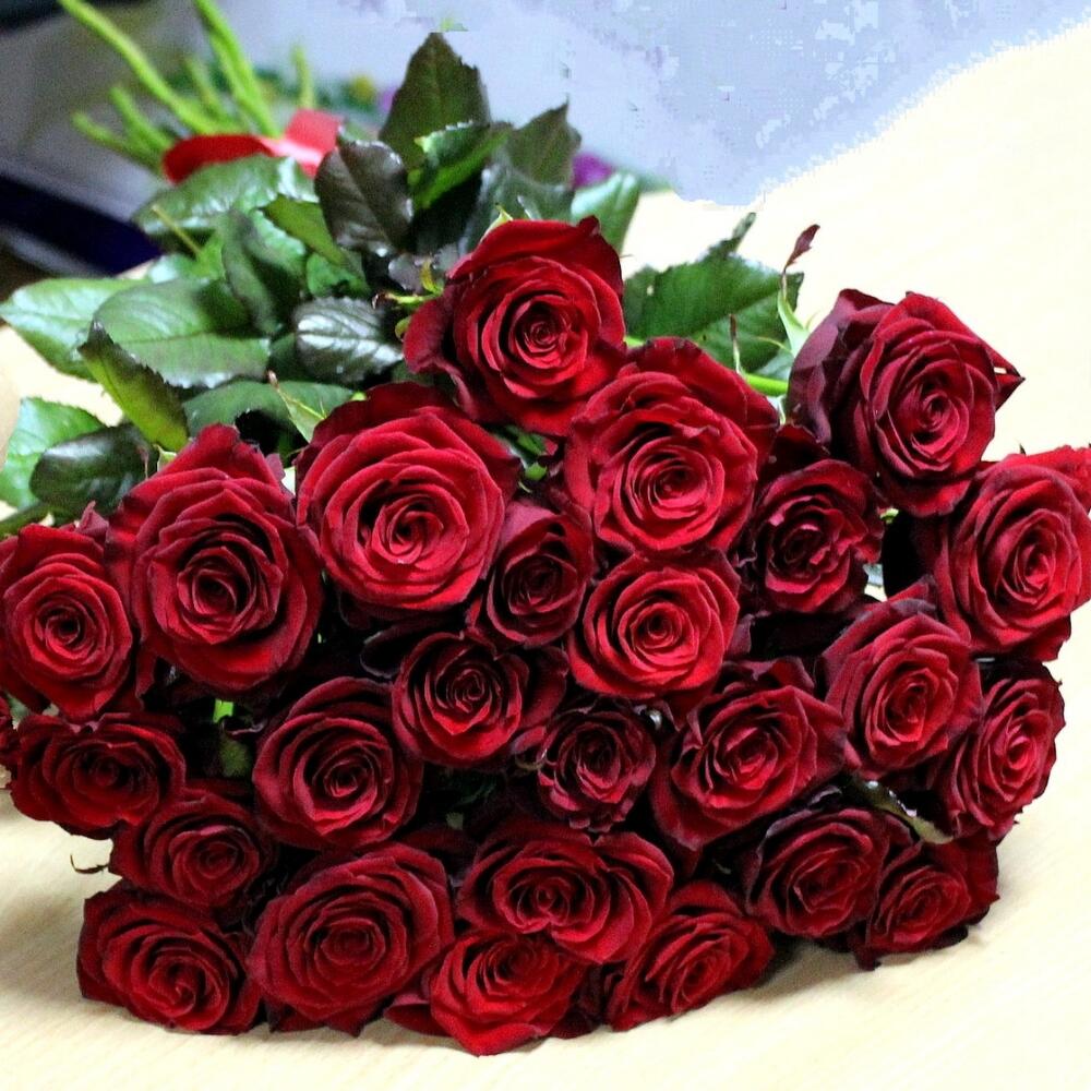 Букет роз Альбина