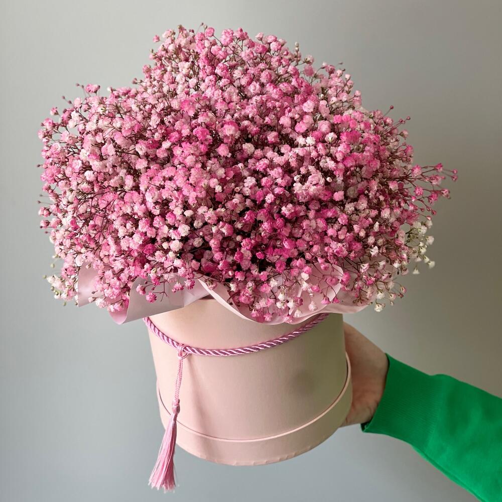 Гипсофилы в коробке