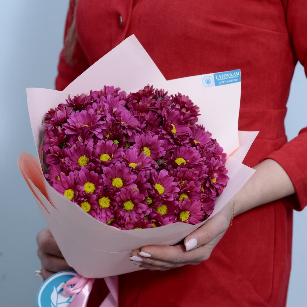 Хризантема