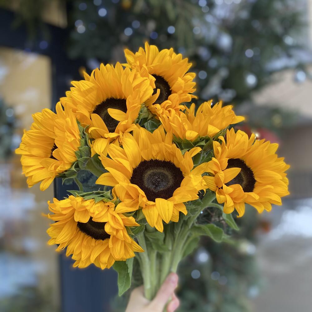 Моно букет 19